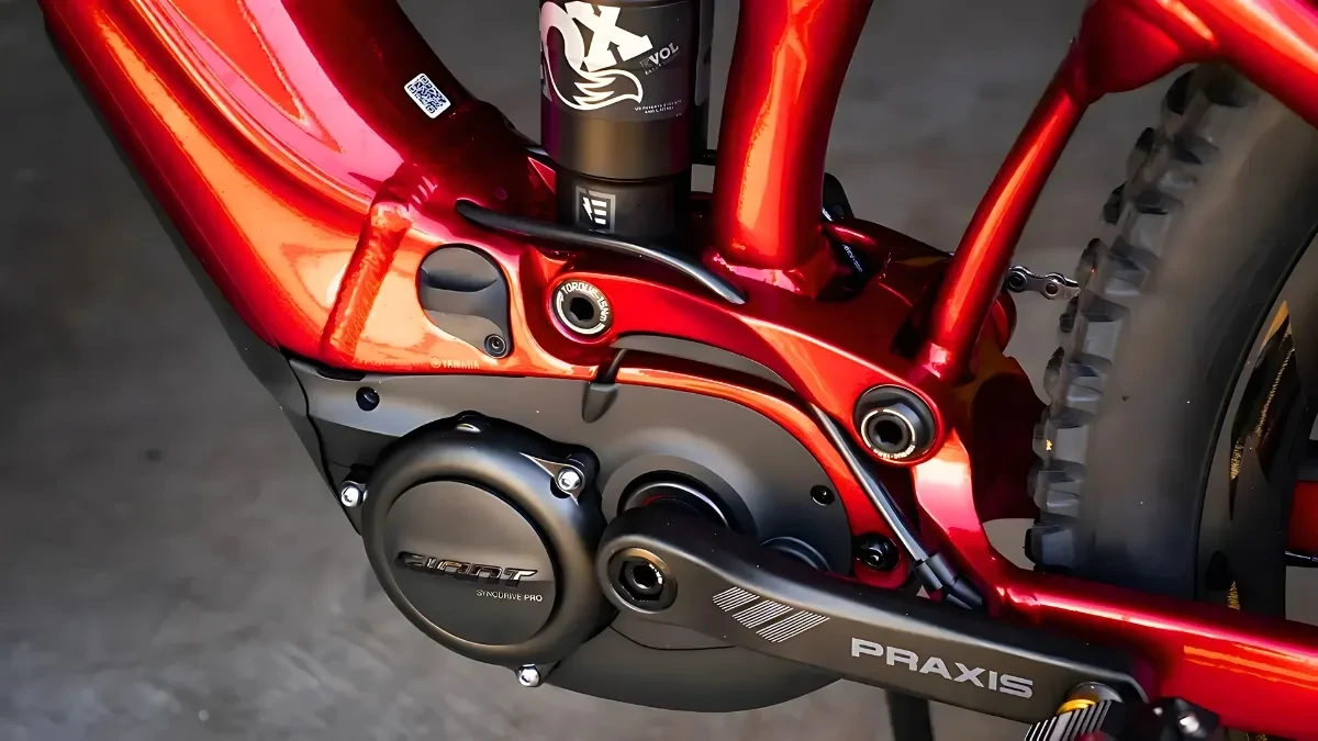 Giant Electric Cycle